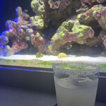 Diving shop & Bar FIRST STAGE - 