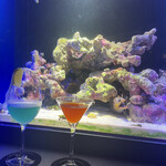 Diving shop & Bar FIRST STAGE - 