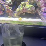 Diving shop & Bar FIRST STAGE - 
