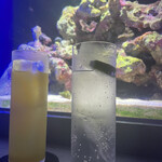 Diving shop & Bar FIRST STAGE - 