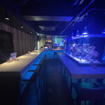 Diving shop & Bar FIRST STAGE - 