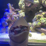 Diving shop & Bar FIRST STAGE - 