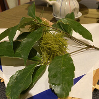 閑臥庵 -  閑臥庵 -