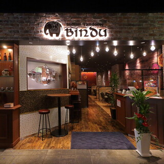 インディアン タンドリー BINDU_1