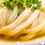 Junte Uchichi Sanuki Udon Gorou - 