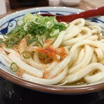 丸亀製麺 - かけうどん