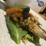 トラットリア ダ ジャコモ - 