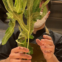 RISTORANTE IL NODO - 