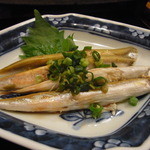 寿し屋の華八 - きびなご