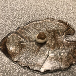 おかしやうっちー - 