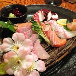 こうちゃん家_0