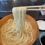 Sanuki Teuchi Udon Aonoyama - 