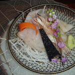 伊豆高原 城ケ崎温泉 花吹雪 - 2010年1月