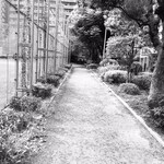 笑心 - お店周辺