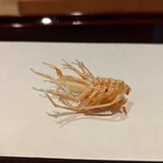 天ぷら たけうち - ポリポリ