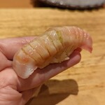 Tempura Takeuchi - 大分石垣鯛、すっごい脂乗ってる