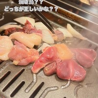 とり料理 鳥者 - 