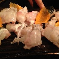 大阪とらふぐの会 PREMIUM - 