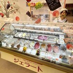 젤라테리아 후룻티