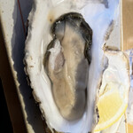 廻鮮寿司 塩釜港 - 生牡蠣