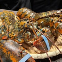 IAKU  - ２　海老好きな我々にオマール海老