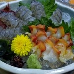 広島料理 西海 - 夜泣き貝とシャコの造り