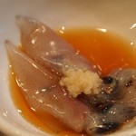 萌えぎ - 生の蛍烏賊は美味しいねぇ　2013年4月