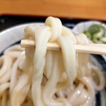 本格さぬきうどん　穂乃香 - もっちもちうどん♡