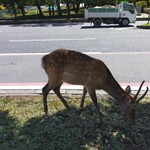 さくらバーガー - 