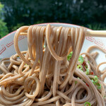 池内うどん店 - 