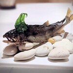 Amandier - アミューズブーシュ 鮎