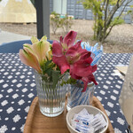 CABOT COVE MUSEUM TERRACE