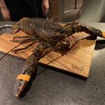 Alternative - 生きてます。