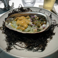 レフェルヴェソンス - 