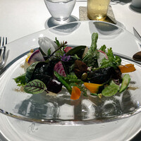 レフェルヴェソンス - 