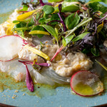 Grilled sole carpaccio served with basil sour cream
