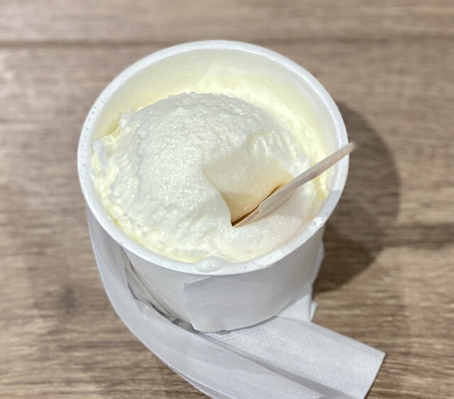 PolarBear Ion Hiroshima Fuchu Ten - Tenjingawa/Gelato, Ice cream