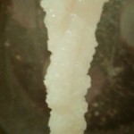 しな川 - 綺麗に華が咲いてます♪