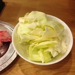 多来多来 - キャベツ