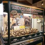 THIS 伊豆 SHIITAKE バーガーキッチン - しいたけキャッチャー！ これは面白いアイディア（椎茸製品と交換できる）