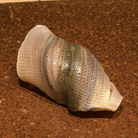 寿司つばさ - 寿司つばさ(新子)