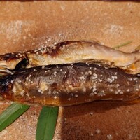 たでの葉 - （下）岐阜県高原川、（上）熊本県川辺川