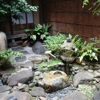 雪梅花 菜根譚 - 