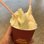 Gelato Firenze - 