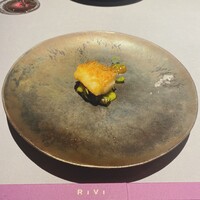 RiVi - 