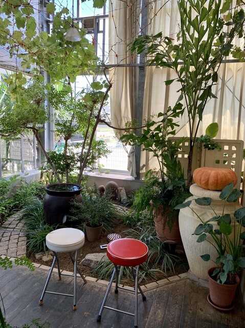 Ramenya Hi-BRi photo 5