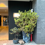 イル ネッビオ - ビルの入り口付近です。