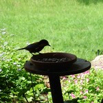 くつきそば 永昌庵 - 