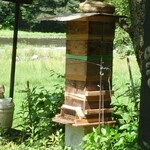 くつきそば 永昌庵 - 