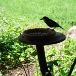 くつきそば 永昌庵 - 